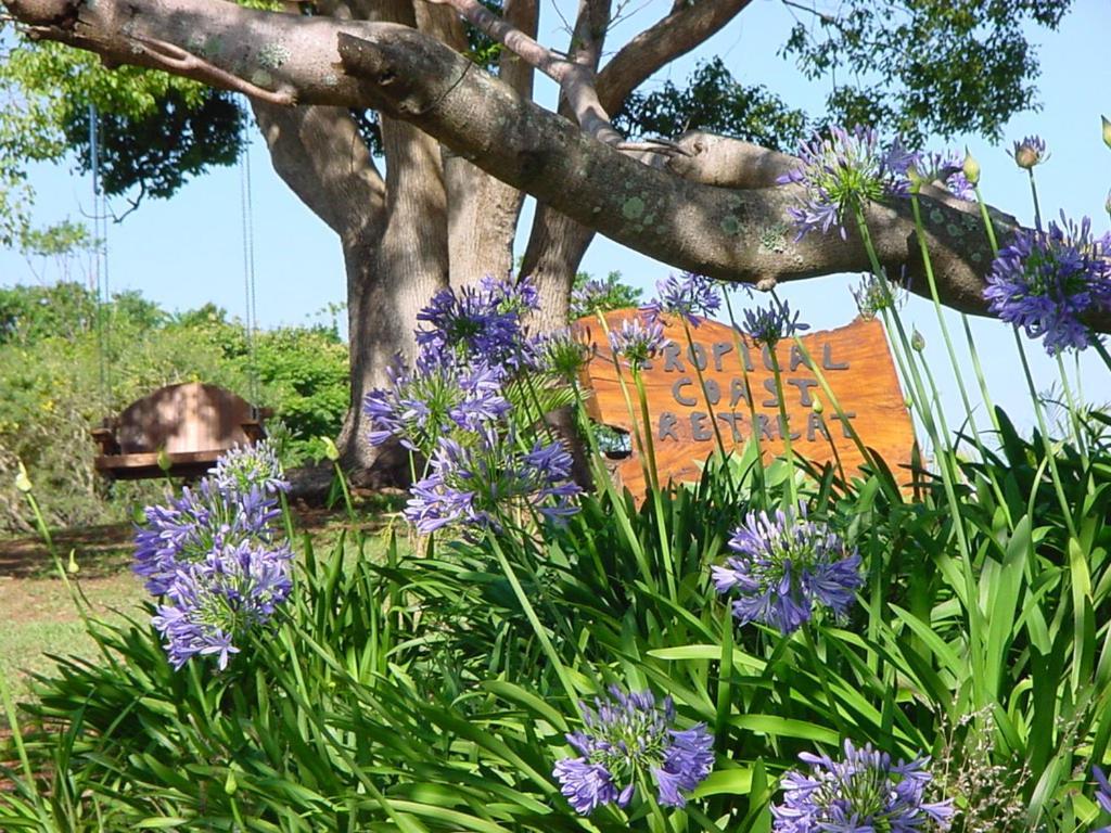 キングスクリフ Tropical Coast Retreat - Pet Friendly - Adult Onlyゲストハウス エクステリア 写真