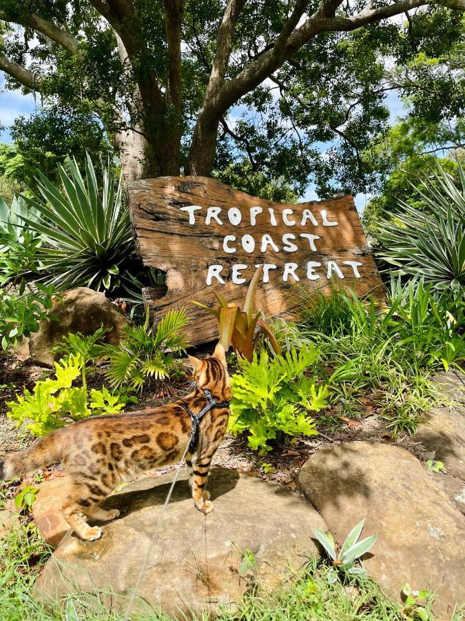 キングスクリフ Tropical Coast Retreat - Pet Friendly - Adult Onlyゲストハウス エクステリア 写真