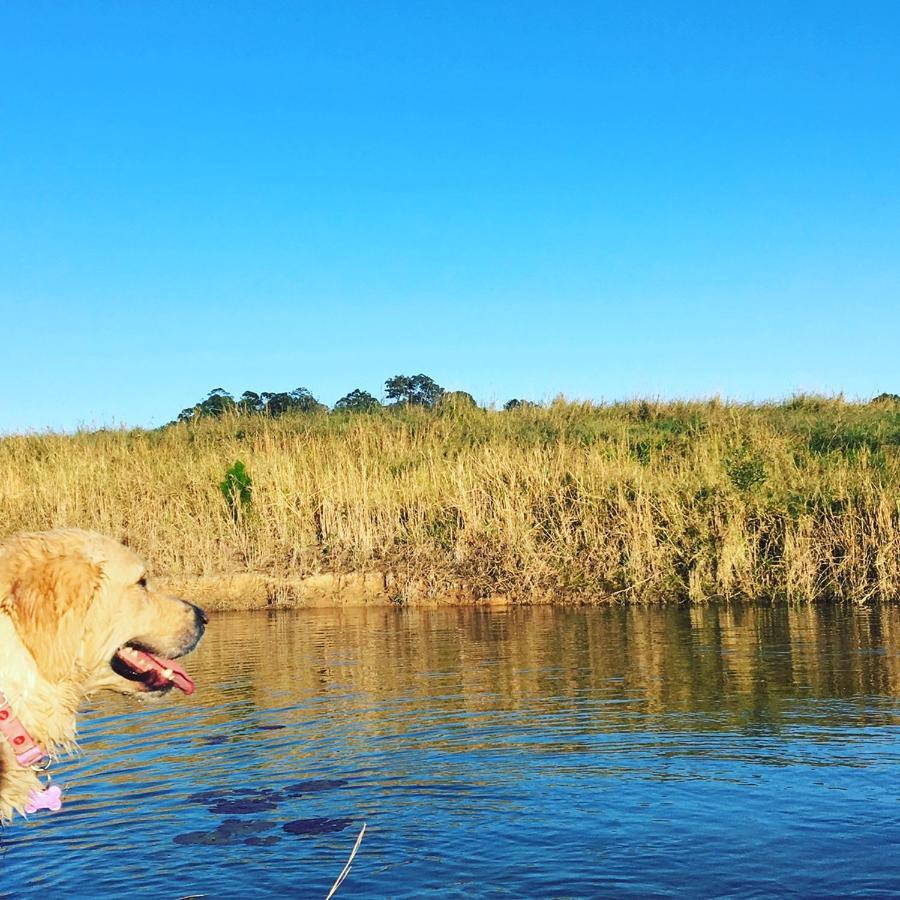 キングスクリフ Tropical Coast Retreat - Pet Friendly - Adult Onlyゲストハウス エクステリア 写真
