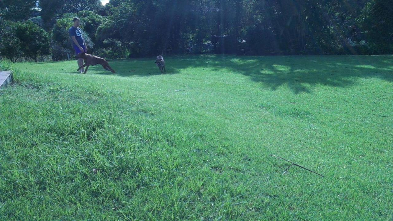 キングスクリフ Tropical Coast Retreat - Pet Friendly - Adult Onlyゲストハウス エクステリア 写真