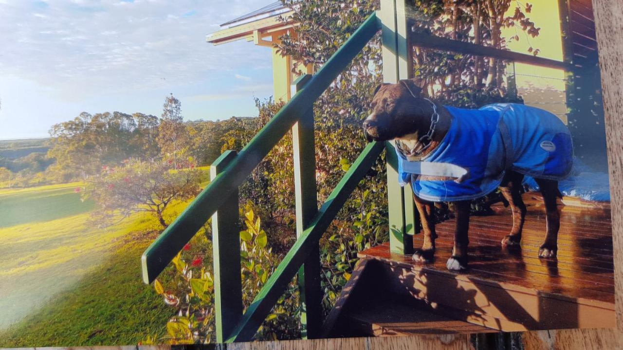 キングスクリフ Tropical Coast Retreat - Pet Friendly - Adult Onlyゲストハウス エクステリア 写真