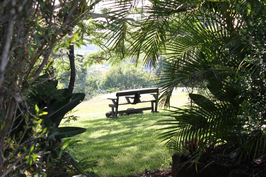 キングスクリフ Tropical Coast Retreat - Pet Friendly - Adult Onlyゲストハウス エクステリア 写真