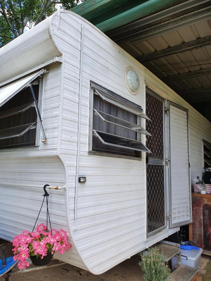 キングスクリフ Tropical Coast Retreat - Pet Friendly - Adult Onlyゲストハウス 部屋 写真