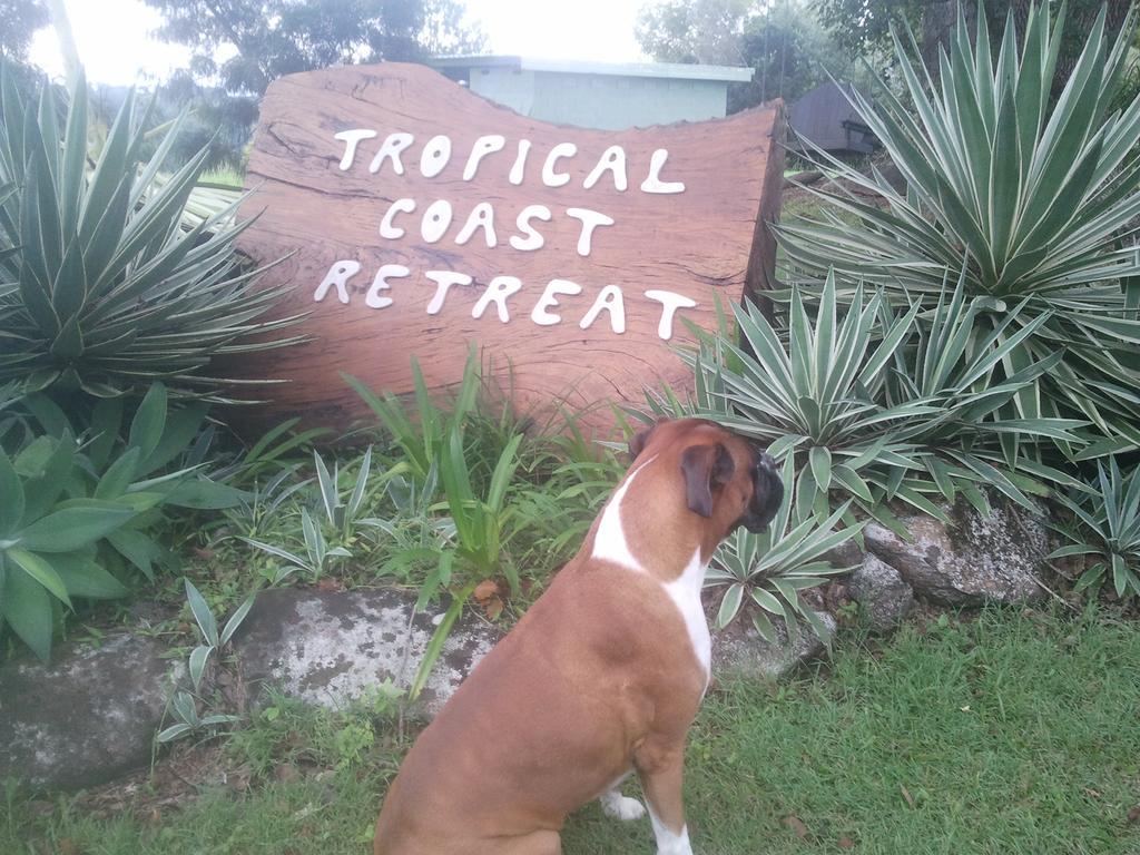 キングスクリフ Tropical Coast Retreat - Pet Friendly - Adult Onlyゲストハウス エクステリア 写真