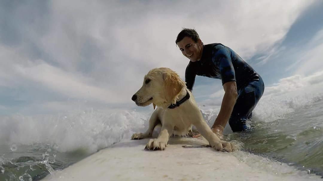 キングスクリフ Tropical Coast Retreat - Pet Friendly - Adult Onlyゲストハウス エクステリア 写真